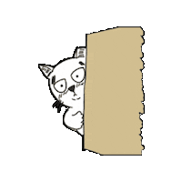 Following The Cat Sticker