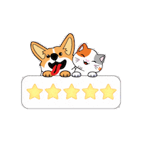 petiquepets follow 5 stars cat and dog petique Sticker