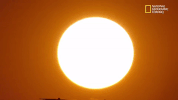 GIF by National Geographic Channel