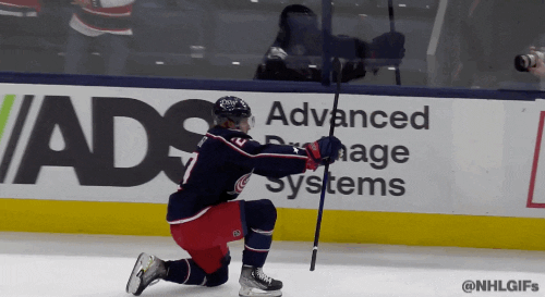 Ice Hockey Sport GIF by NHL