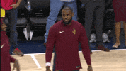 lebron james lol GIF by NBA