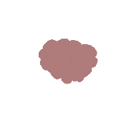 CherSOPK information ovaries sopk cher sopk Sticker
