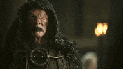 season 1 vikings GIF by HISTORY