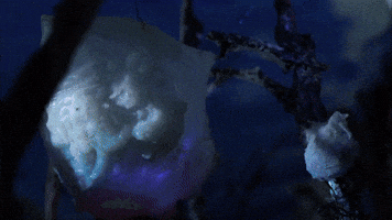 The Misty Flower Clip 6