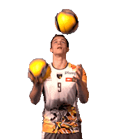 Team Ball Sticker by trefl_gdansk