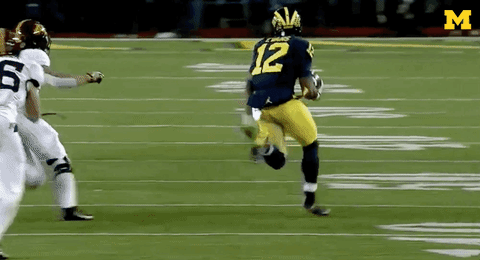 College Football Touchdown GIF by Michigan Athletics