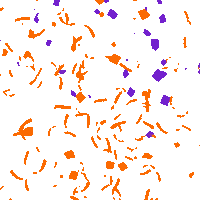 Party Celebration Sticker by basic-fit