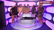 Bbau GIF by Big Brother Australia