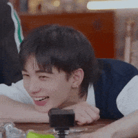 Stray Kids Skz GIF