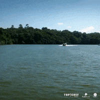 Sao Paulo Reality GIF by Top Chef Brasil