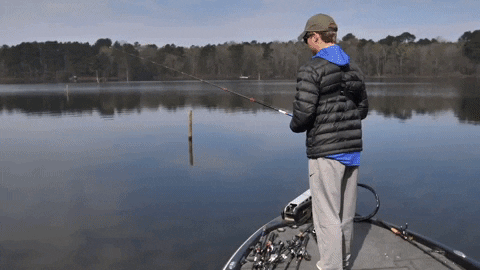 GIF by Mystery Tackle Box