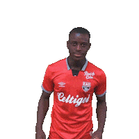 Football Footy Sticker by EA Guingamp