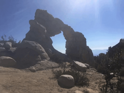 GIF by Justin