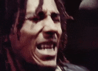 Bob Marley And The Wailers Reggae GIF by Bob Marley
