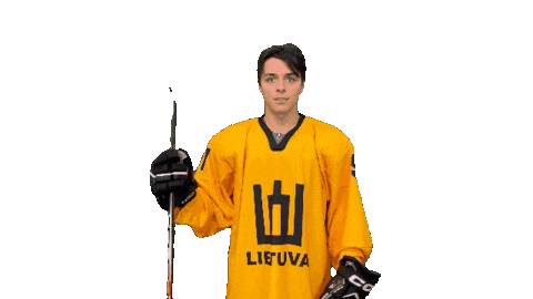 Hockeylietuva Sticker by ledoritulys.lt