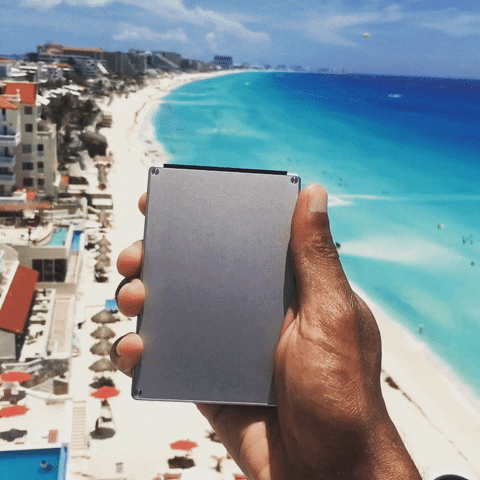 maniwonders giphyupload luxury wallet performing GIF