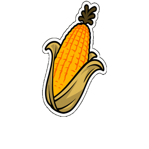 Agronomy Sticker by LG Seeds