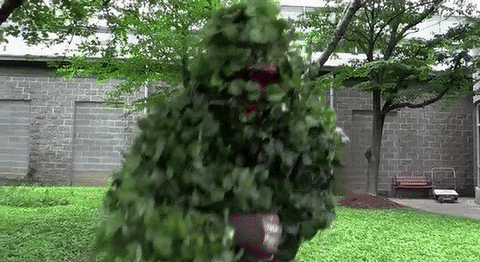 cmt GIF by The Ed Bassmaster Show