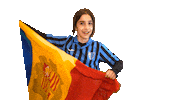 Football Futbol Sticker by Inter Club d'Escaldes