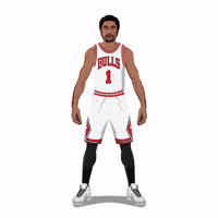 Chicago Bulls Basketball GIF by SportsManias
