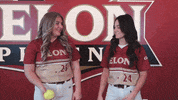 College Athletics Ncaa Softball GIF by Elon Phoenix