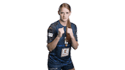 Sport-UnionNeckarsulm handball handball damen neckarsulm sunhandball Sticker