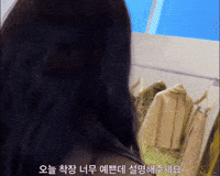 Beauty Turnaround GIF