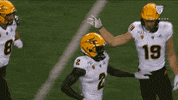 Celebrate College Football GIF by Pac-12 Network