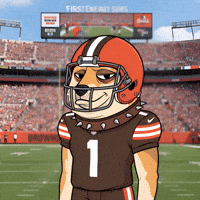 American Football GIF by Doge Pound