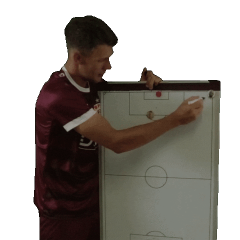 Goal Tor Sticker by BFC Dynamo