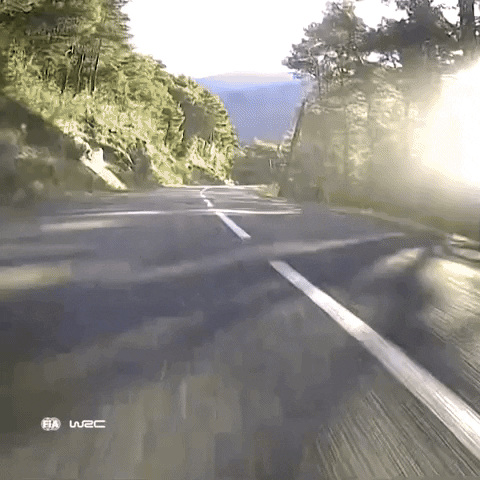 Speed Way GIF by FIA World Rally Championship