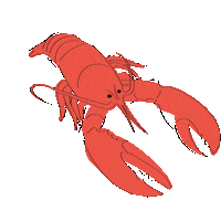 Lobster Sticker by Bun Appetit