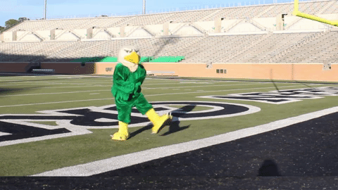 Mascot Dancing GIF by University of North Texas