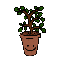 Planta Sticker
