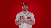 Baseball Mlb GIF by Cincinnati Reds