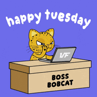 Working Good Day GIF by VeeFriends
