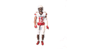 Dance Touchdown Sticker by Richmond Spiders