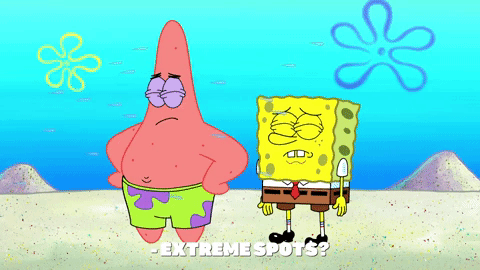 episode 1 GIF by SpongeBob SquarePants