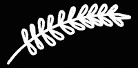 hbesocial 13 13 monjas 13monjas los13kde13monjas GIF