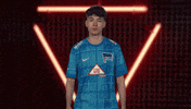 Berlin Vbl GIF by Bundesliga