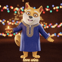 Happy Festival Of Lights GIF by Doge Pound