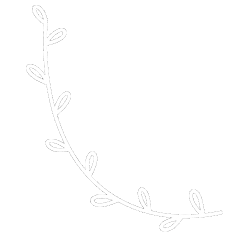Plant Boho Sticker