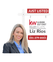 lizriosrealestate liz rios Sticker