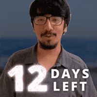 12 Days GIF