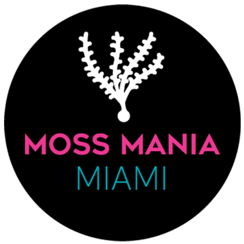 mossmaniamiami giphyupload miami moss moss mania miami Sticker