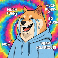 Shiba Inu Wow GIF by Doge Pound