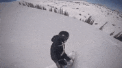 nicolebowdle snowboarding snow winter utah mountains GIF