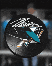 Happy San Jose Sharks GIF by NHL