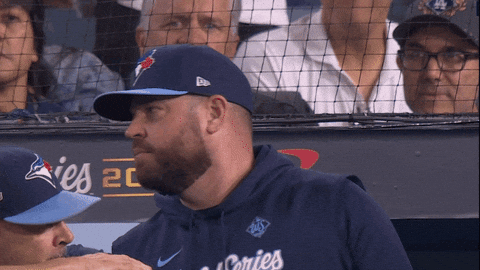 Blue Jays Baseball GIF by Toronto Blue Jays