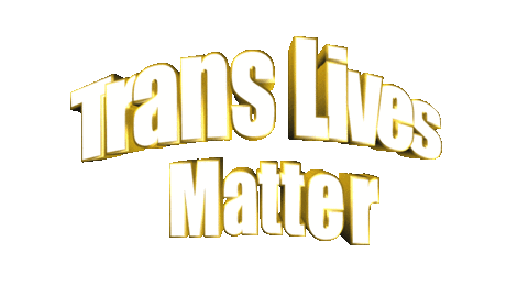 Trans Translivesmatter Sticker by GIPHY Text